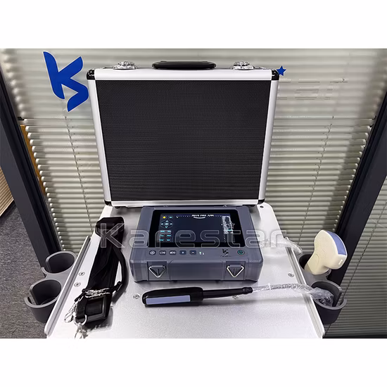  Портативный ветеринарный УЗИ-аппарат.  Портативный ветеринарный ультразвуковой сканер